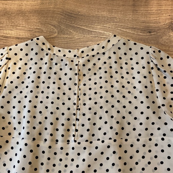 Madewell Silk Polka Dot Blouse - Picture 7 of 8